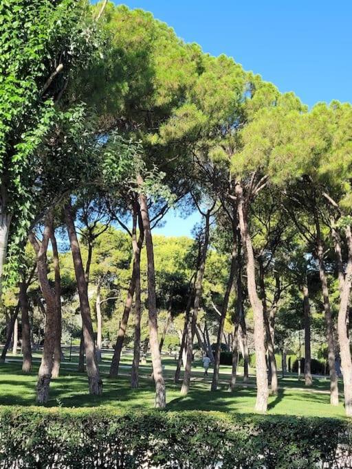 Apartamento Azabache Saragozza Esterno foto